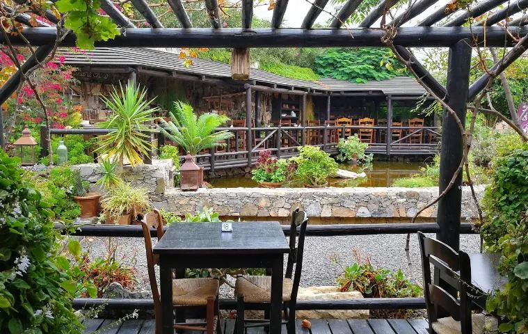 Café Casa de la Naturaleza